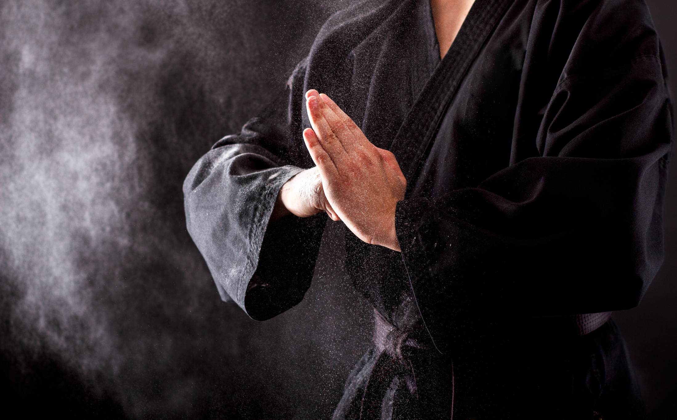 Karate fighter hands. Martial Tribes