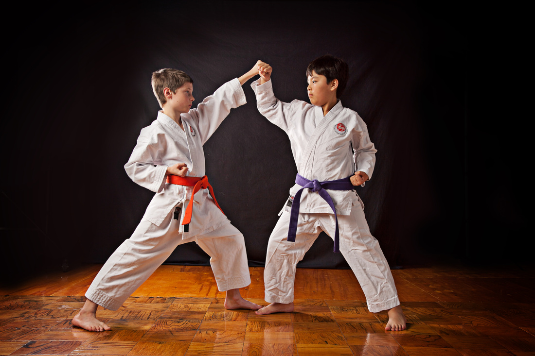 Resultado de imagen de karate