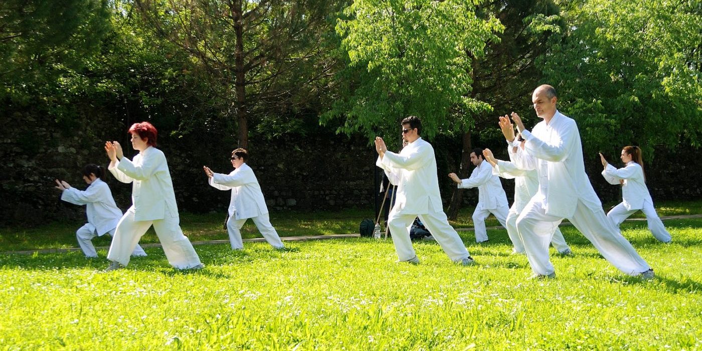 ¿Por qué el Tai Chi es tan popular? Martial Tribes