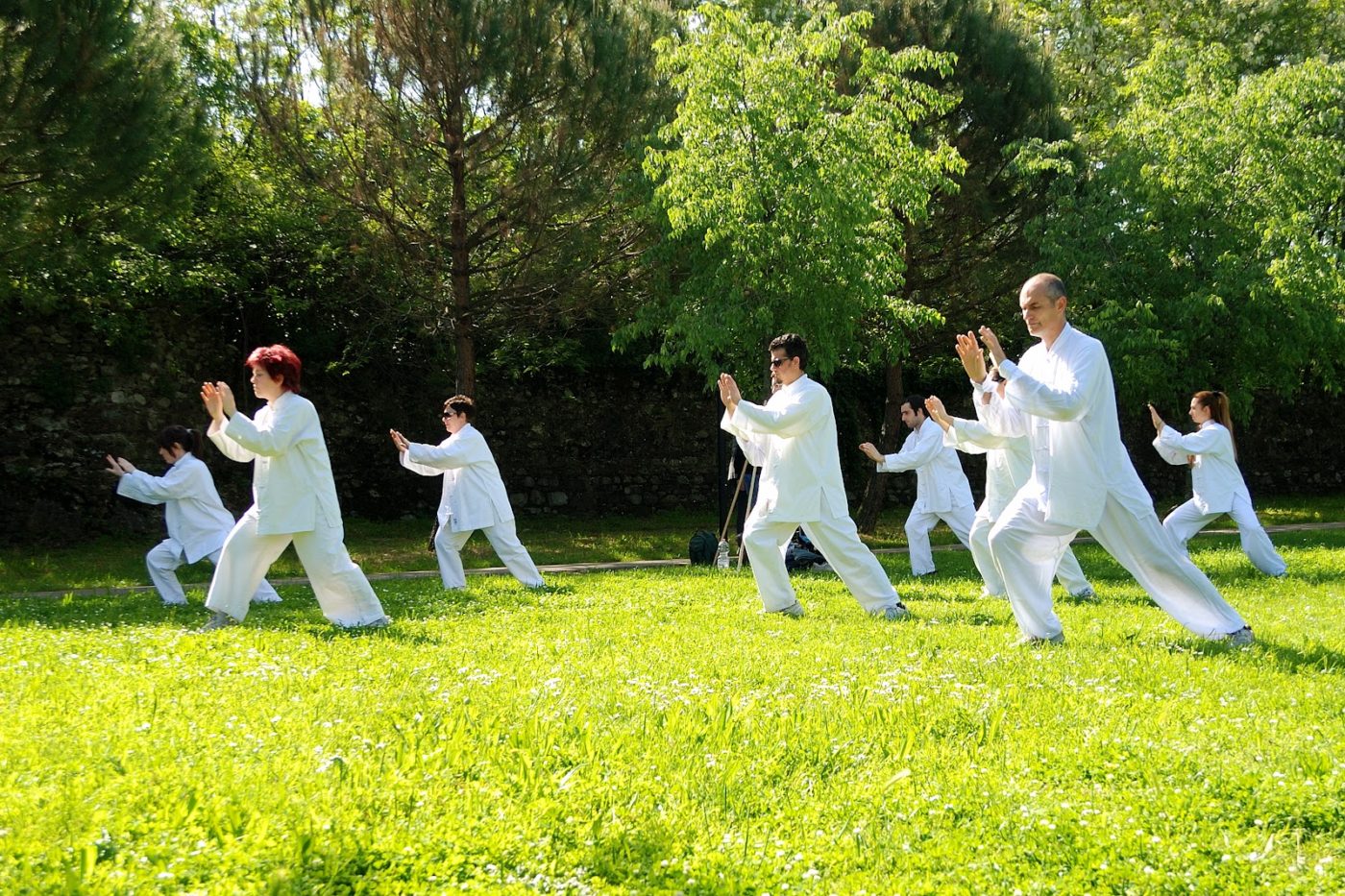 ¿Por qué el Tai Chi es tan popular? Martial Tribes