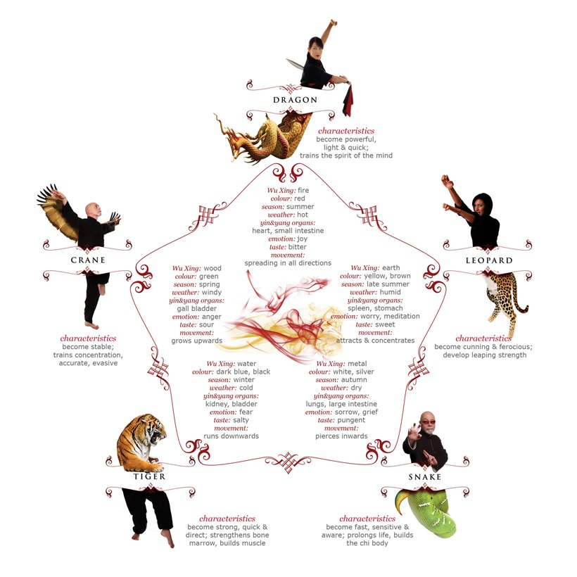 The 5 animals of Chinese Martial Arts