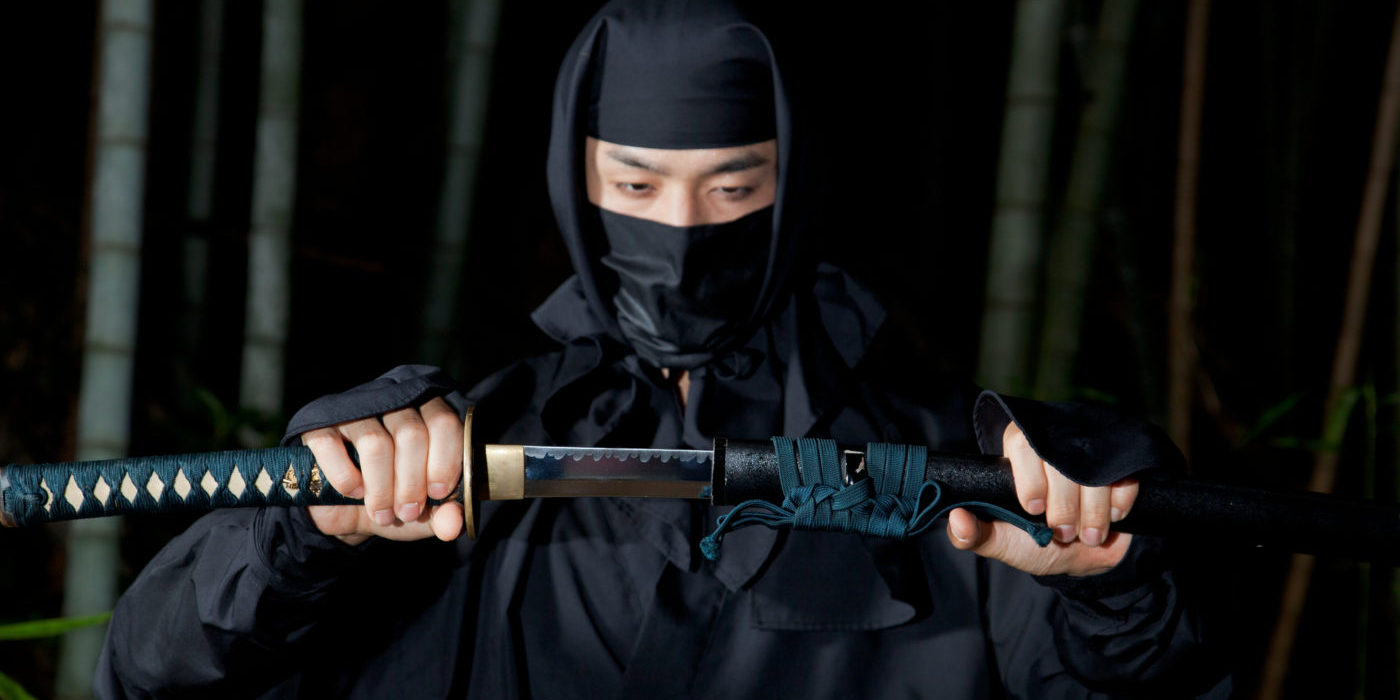 5 Things You Didn't Know About the Deadly Ninja (Probably)