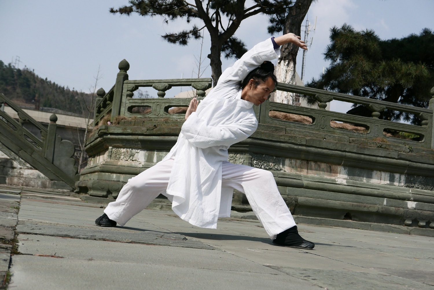 Do You Know All These Chinese Martial Arts