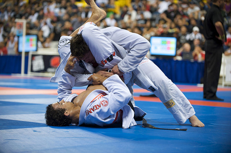 Judo Versus Brazilian Jiujitsu Martial Tribes