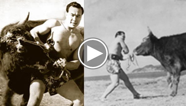 www.martialtribes.com
