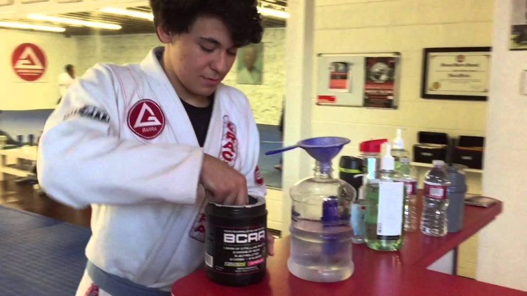 martial arts supplements