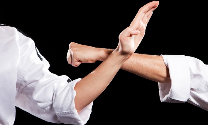 chinese martial arts