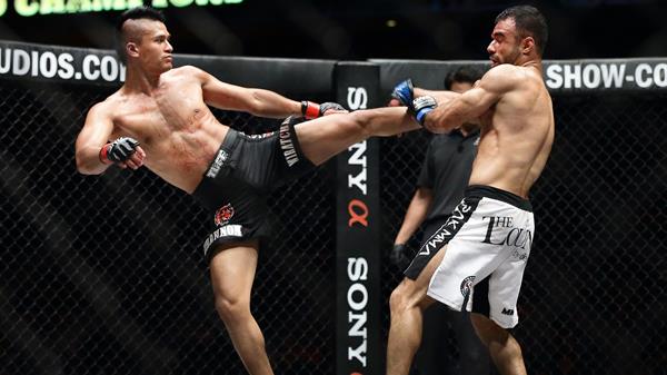 ¿Qué es mejor el karate o el boxeo?