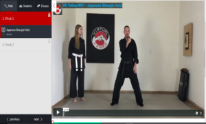 online martial arts course