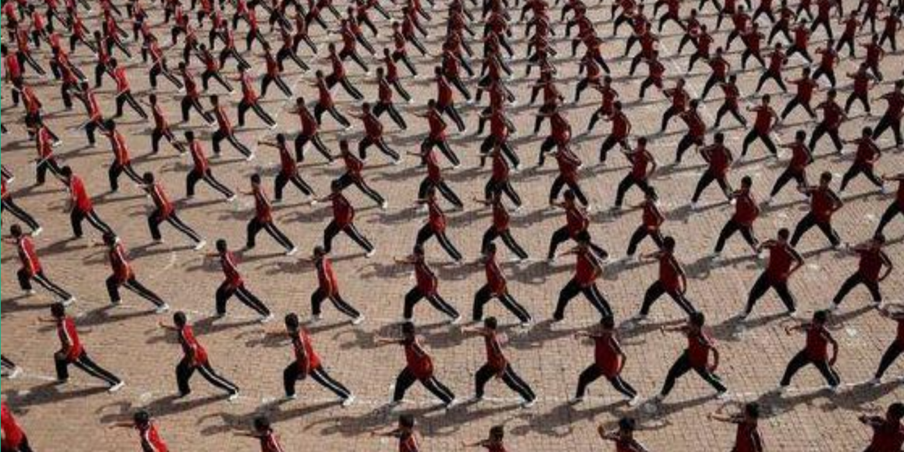 Martial Arts are USELESS! Or Are They? Martial Tribes