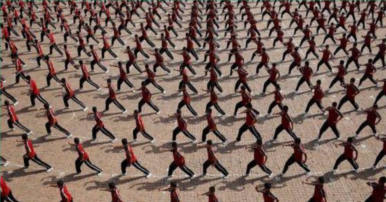 Martial Arts are USELESS! Or Are They? Martial Tribes