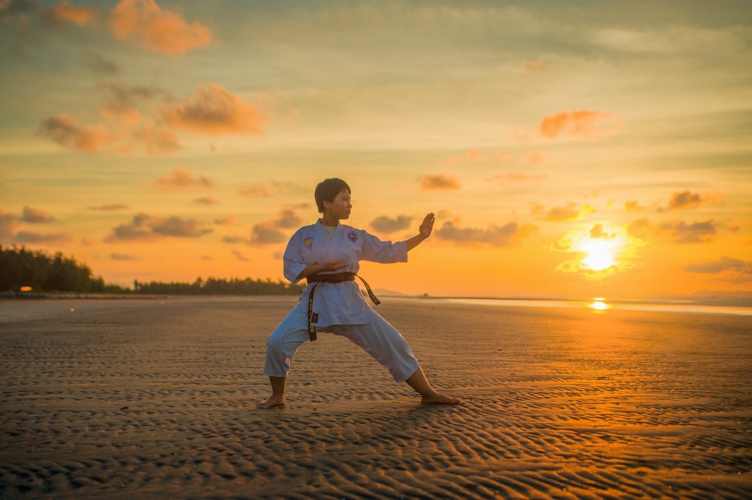What is the best martial art form to try as a beginner? Martial Tribes